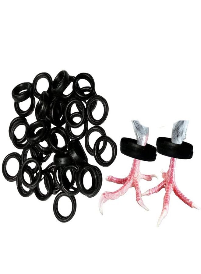 The Saini Store Pigeon Rubber Rings (Black) (Pack of 40) - Image 2