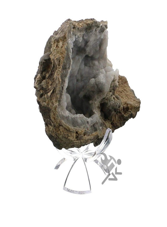 OnFireGuy 2-1/4" Acrylic Reversible Three Prong Tulip Display Stand Qty: 3 - Image 5