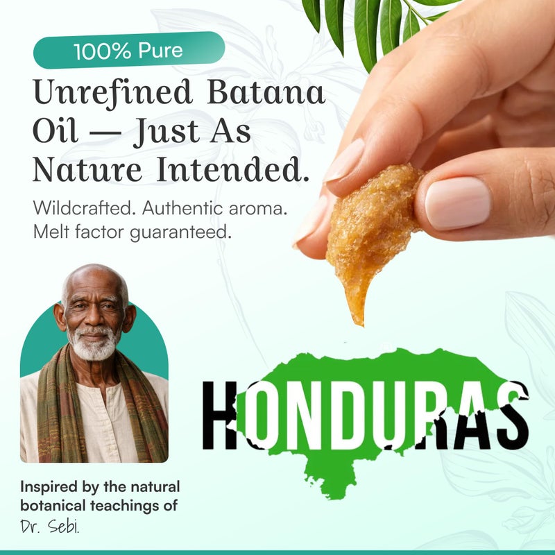 SPOILD Raw Batana Oil for Hair Growth - Sourced from Honduras - Dr. Sebi Approved - 100% Organic and Unrefined - For Thicker, Stronger Hair - 2oz. - Image 4