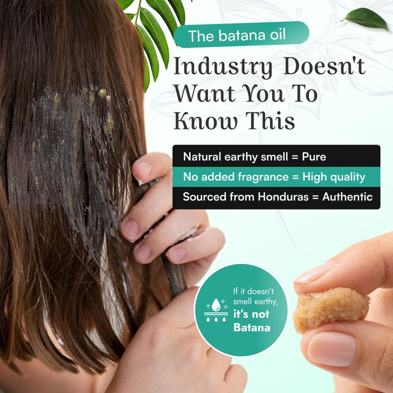 SPOILD Raw Batana Oil for Hair Growth - Sourced from Honduras - Dr. Sebi Approved - 100% Organic and Unrefined - For Thicker, Stronger Hair - 2oz. - Image 3