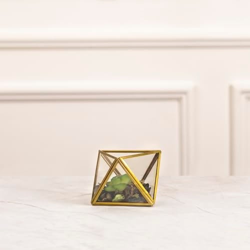 DecorTwist® Geometric Glass Terrarium for Succulent, Air Plants, 11.8" | Planter for Succulent Plant Cacti | Indoor Balcony Home Decor| Garden Miniature Pot | Tabletop Centerpiece (No Plants) - Image 3