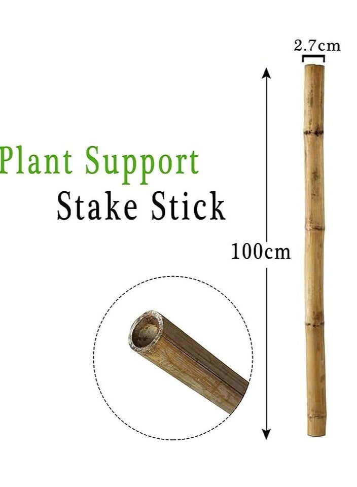 Generic FFD Natural Bamboo Poles Bamboo Stake for Plant Support 100cm  - Image 2