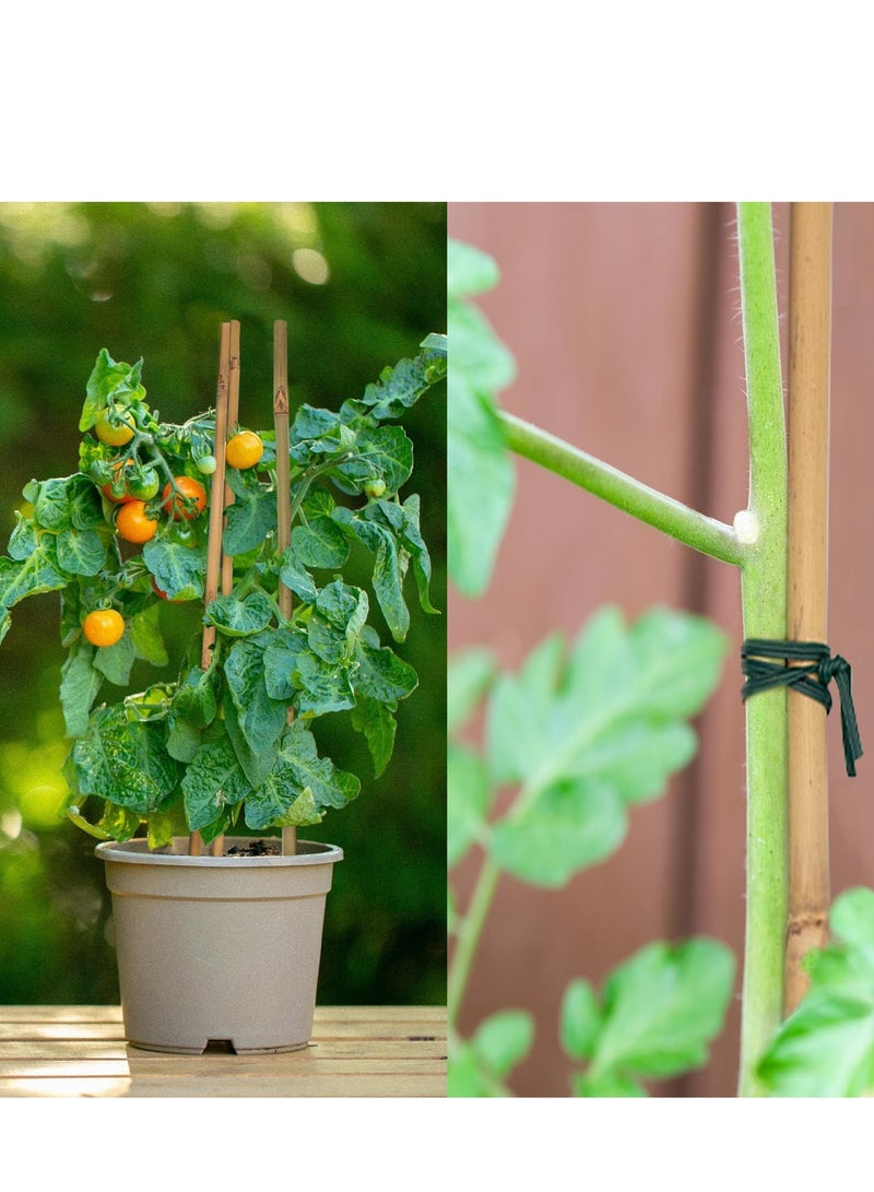 Generic FFD Natural Bamboo Poles Bamboo Stake for Plant Support 100cm  - Image 4