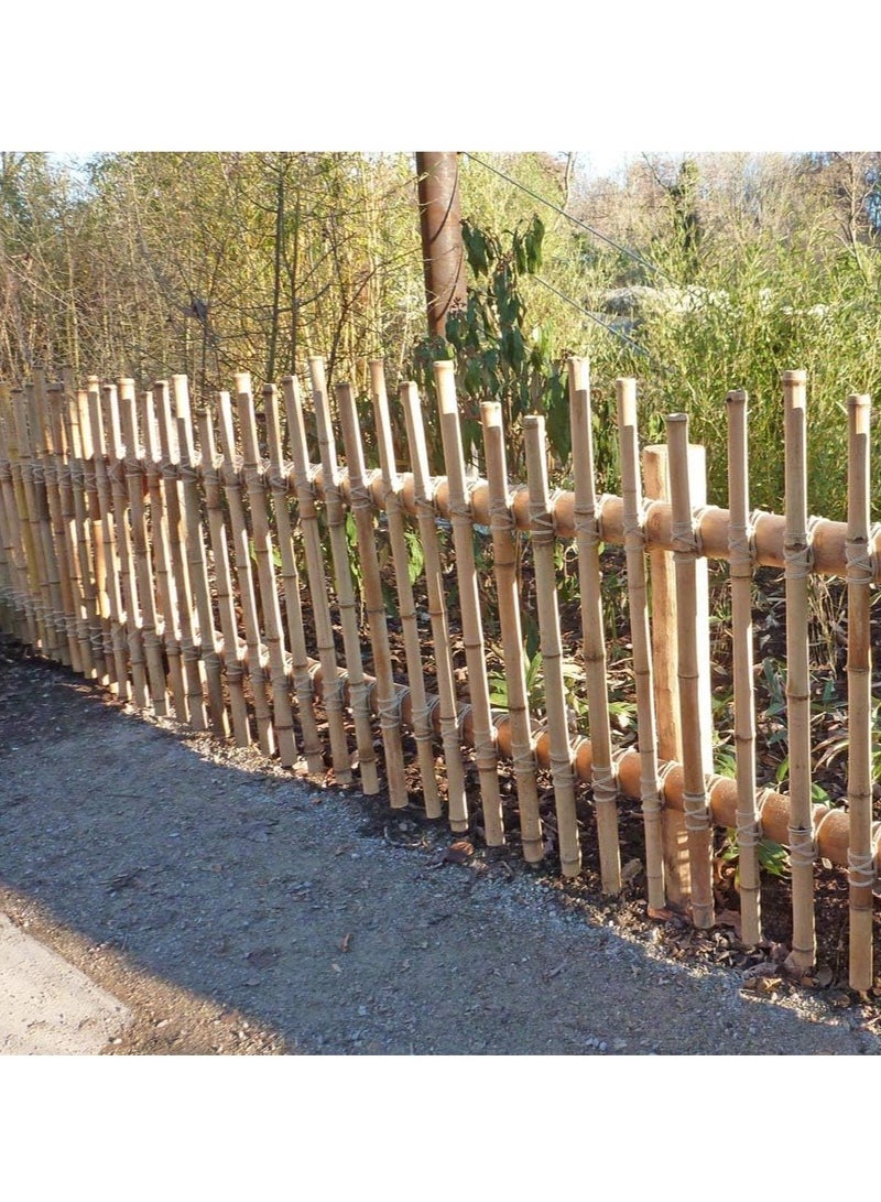Generic FFD Natural Bamboo Poles Bamboo Stake for Plant Support 100cm  - Image 5