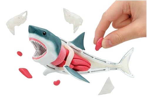 Megahouse Great White Shark Kaitai Puzzle - Image 5