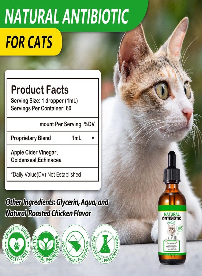 VOSIFSDIY Cat Antibiotics, Antibiotics for Cats, Natural Cat Antibiotics Multivitamin Herbal Supplements 60ml - Image 4