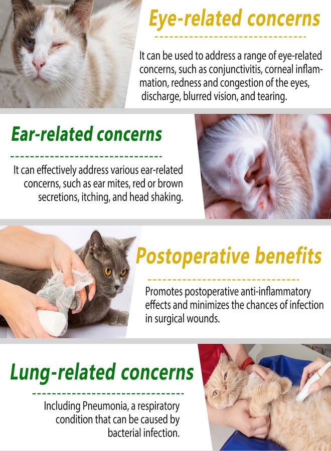 VOSIFSDIY Cat Antibiotics, Antibiotics for Cats, Natural Cat Antibiotics Multivitamin Herbal Supplements 60ml - Image 5