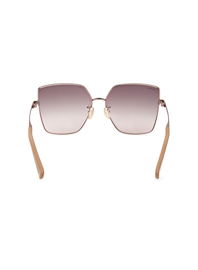 MaxMara Butterfly Sunglasses For Women - Shiny Dark Bronze - Image 5