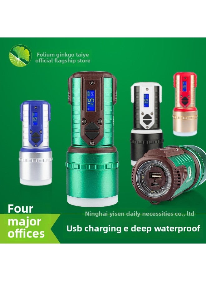 New Fishing Light Blue Light 40W Blue White Yellow Purple Four Light Sources Strong Light Night Fishing Light Mobile Phone Charging Treasure Fishing Light 