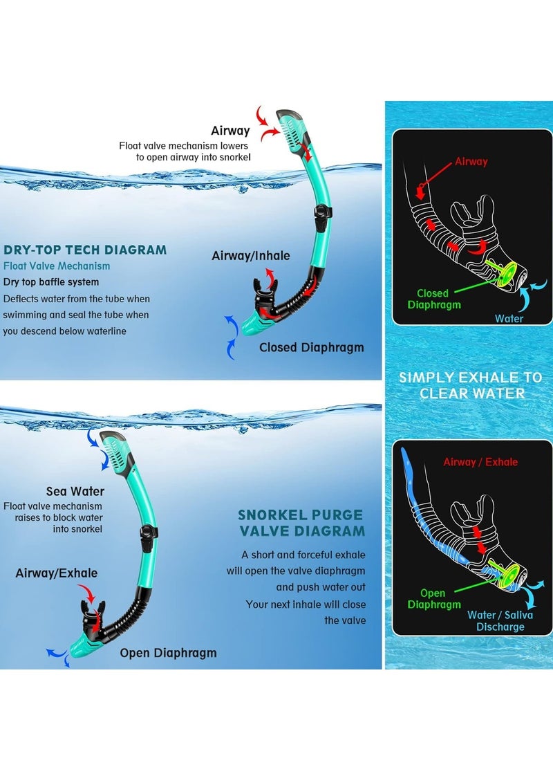 Halamine Mask Fin Snorkel Set, Travel Size Snorkeling Gear for Adults with Panoramic View Anti-Fog Mask, Trek Fins, Dry Top Snorkel and Gear Bag for Swimming Training, Snorkeling Kit Diving Packages  - Image 2