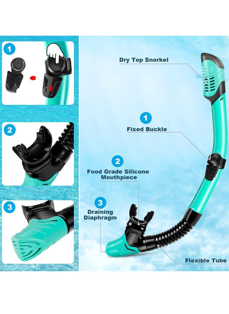 Halamine Mask Fin Snorkel Set, Travel Size Snorkeling Gear for Adults with Panoramic View Anti-Fog Mask, Trek Fins, Dry Top Snorkel and Gear Bag for Swimming Training, Snorkeling Kit Diving Packages  - Image 3