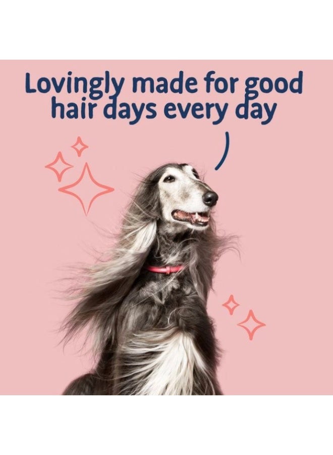 Barking Heads Complete Dry Dog Food - Adult All Hounder Hair Necessities Salmon - Natural Grain Free Hypoallergenic for Skin & Coat 2 KG ( PACK OF 3 )- Vet Approved - Image 3