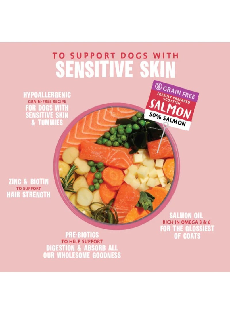 Barking Heads Complete Dry Dog Food - Adult All Hounder Hair Necessities Salmon - Natural Grain Free Hypoallergenic for Skin & Coat 2 KG ( PACK OF 3 )- Vet Approved - Image 2