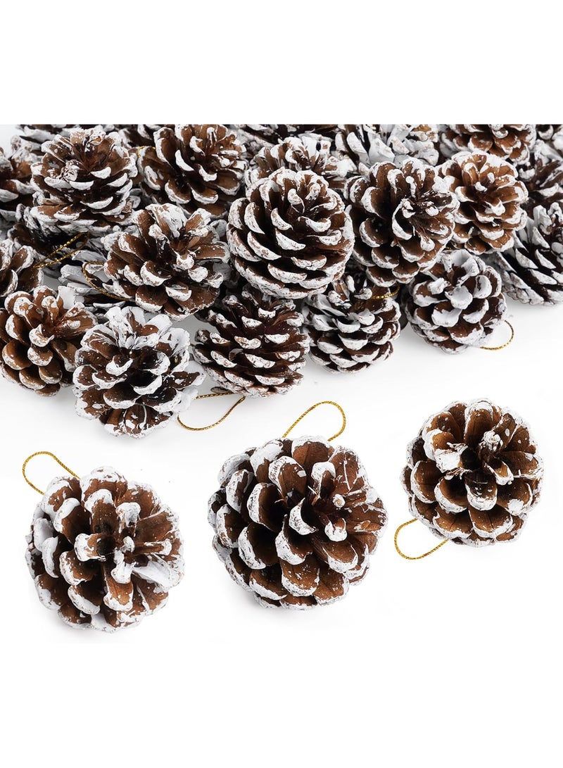 Pine 50 PCS Pine Cones with Snow Tyred Effect, Small Pine Cones for Christmas Tree, Decoration - Image 1