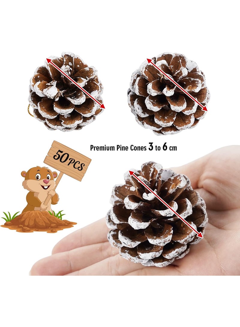 Pine 50 PCS Pine Cones with Snow Tyred Effect, Small Pine Cones for Christmas Tree, Decoration - Image 2