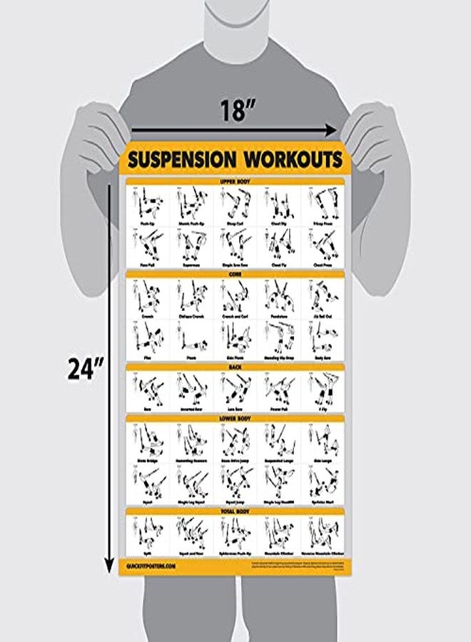 Palace Learning 3 Pack - Suspension Workout Posters - Volume 1 & 2 + Dumbbell Exercises Poster Set - Set of 3 Workout Charts (LAMINATED, 18" x 24") - Image 2