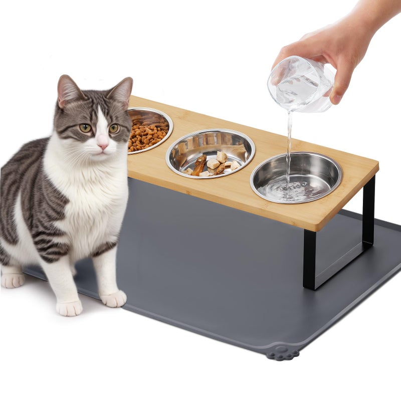 Summark Upgraded Elevated Cat Bowls with Food Mat,15Â°Tilted Stand Anti Vomiting Raised Cat Dishes for Food and Water,3 Stainless Steel Bowls for Cats and Puppy - Image 1