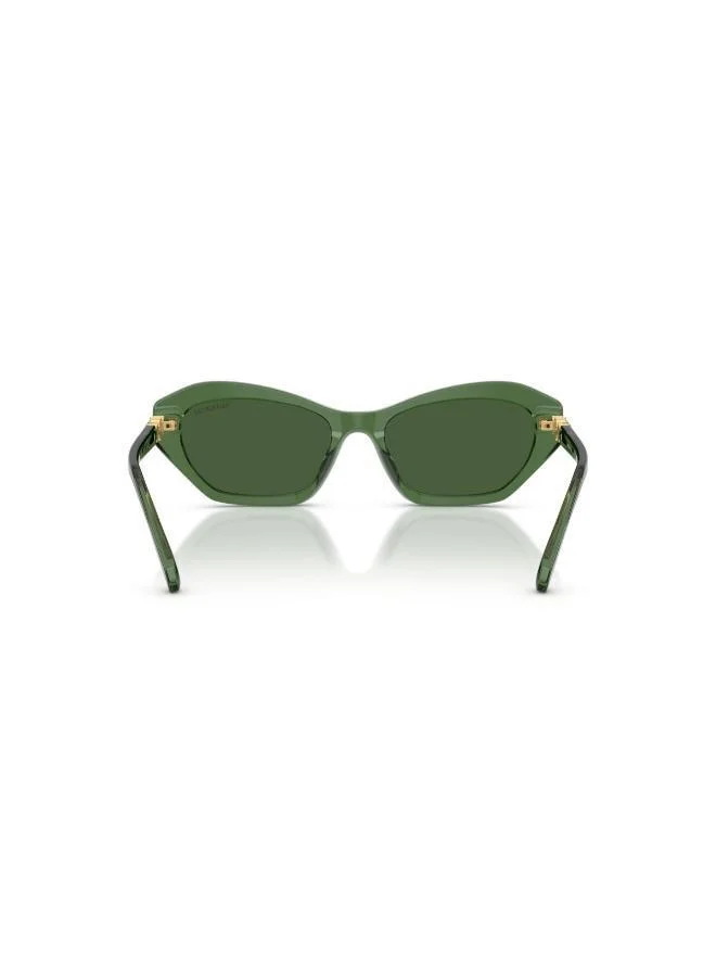 SWAROVSKI  Cat Eye Sunglasses for Women | Best Price UAE