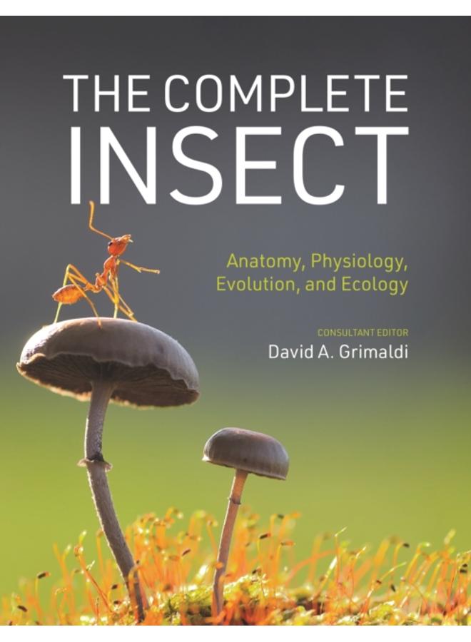 The Complete Insect : Anatomy, Physiology, Evolution, and Ecology 