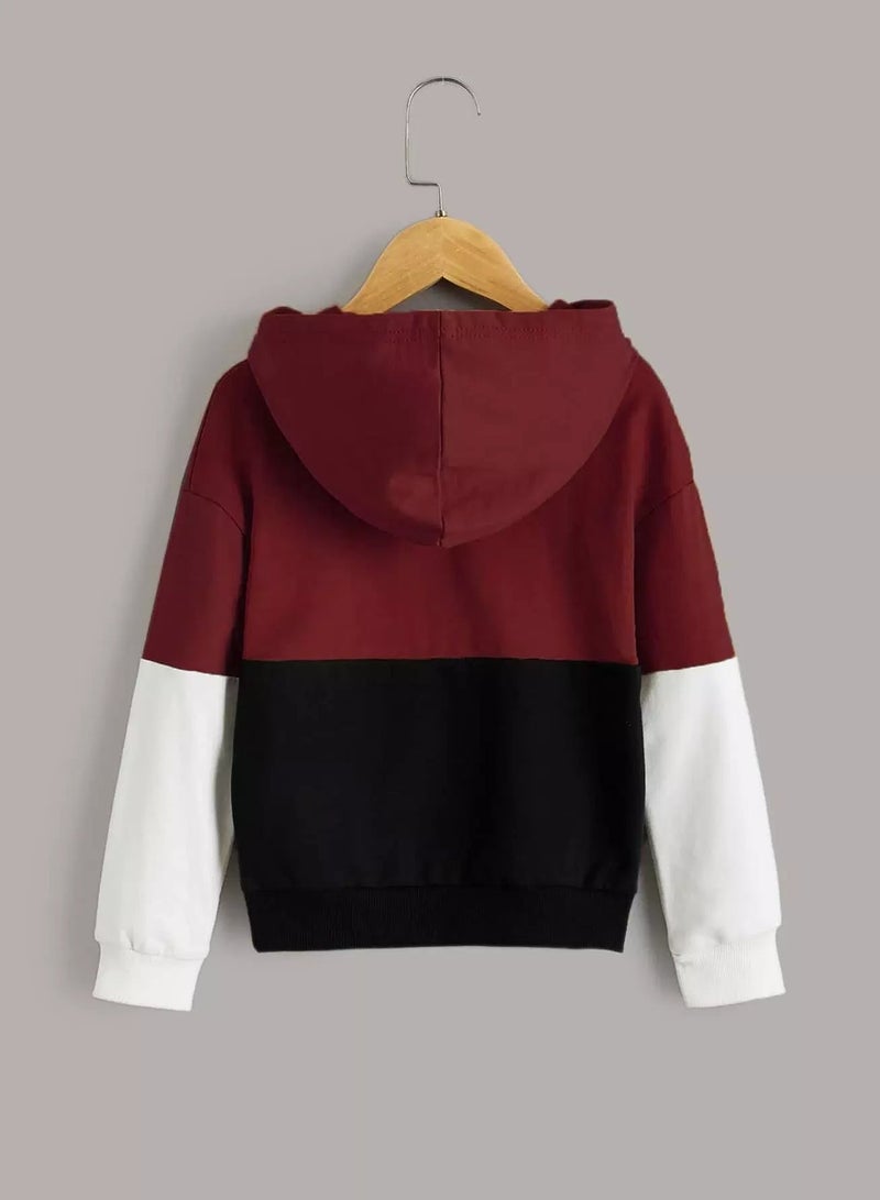 Toddler Boys Colorblock Drop Shoulder Sweatshirt  - Image 2