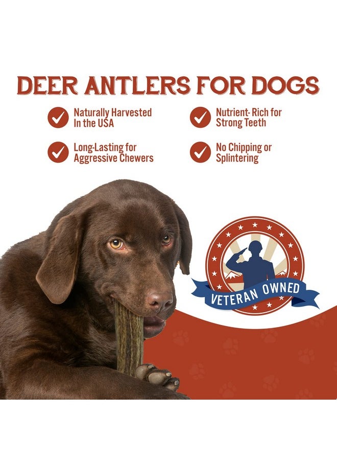 Heartland Antlers Heartland Deer Antlers For Dogs  Grade A, Naturally Shed Antlers | Dog Bones For Aggressive Chewers & Teething Puppies | Chew Toy For All Breeds | Usa Made & Veteran Owned (Large: 68", 1Pack)  - Image 2