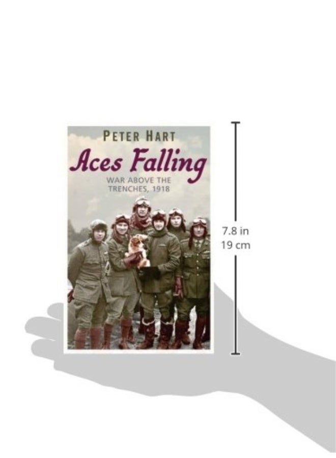 Aces Falling: War Above The Trenches, 1918  - Image 3