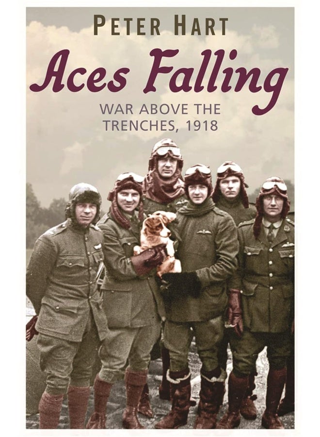 Aces Falling: War Above The Trenches, 1918  - Image 1