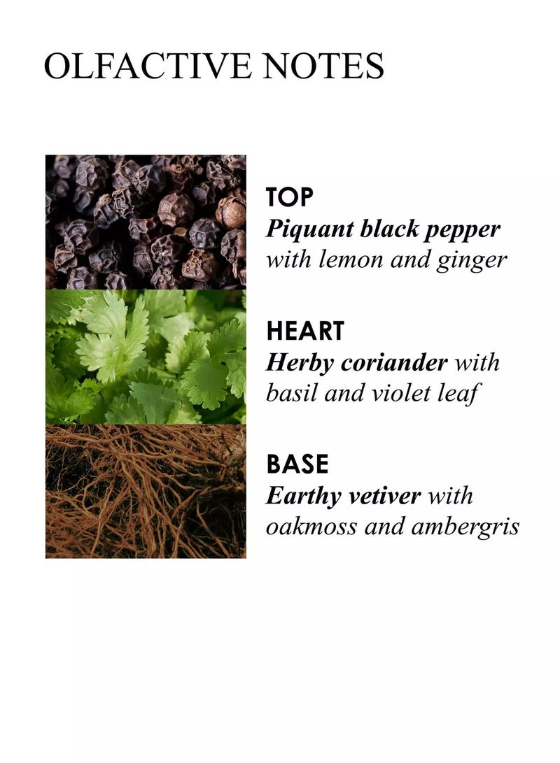 MOLTON BROWN Re-Charge Black Pepper Aroma Reeds 150ml - Image 5