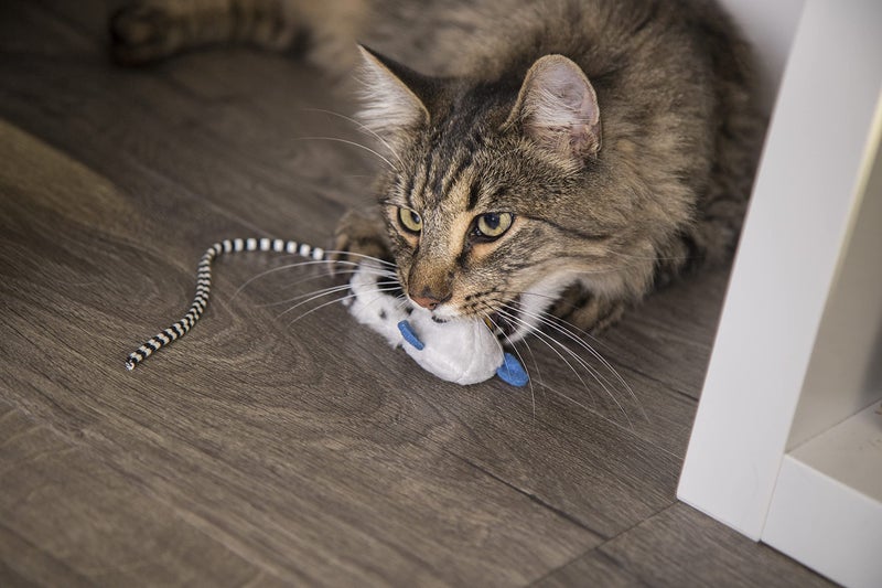 Petlinks HappyNip Lemur Lights Electronic Light Cat Toy, Contains Silvervine & Catnip, Battery Powered - Black/White, One Size - Image 5