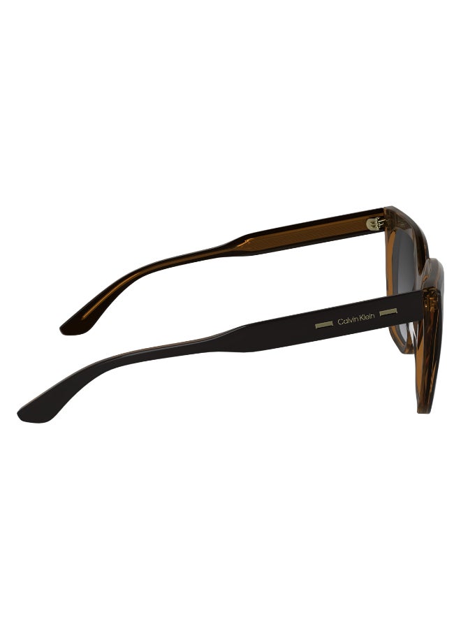 CALVIN KLEIN نظارات شمسية كاملة الإطار من أسيتات كالفن كلاين CK24535S N 5517 (002) أسود/رمادي غامق - Image 4