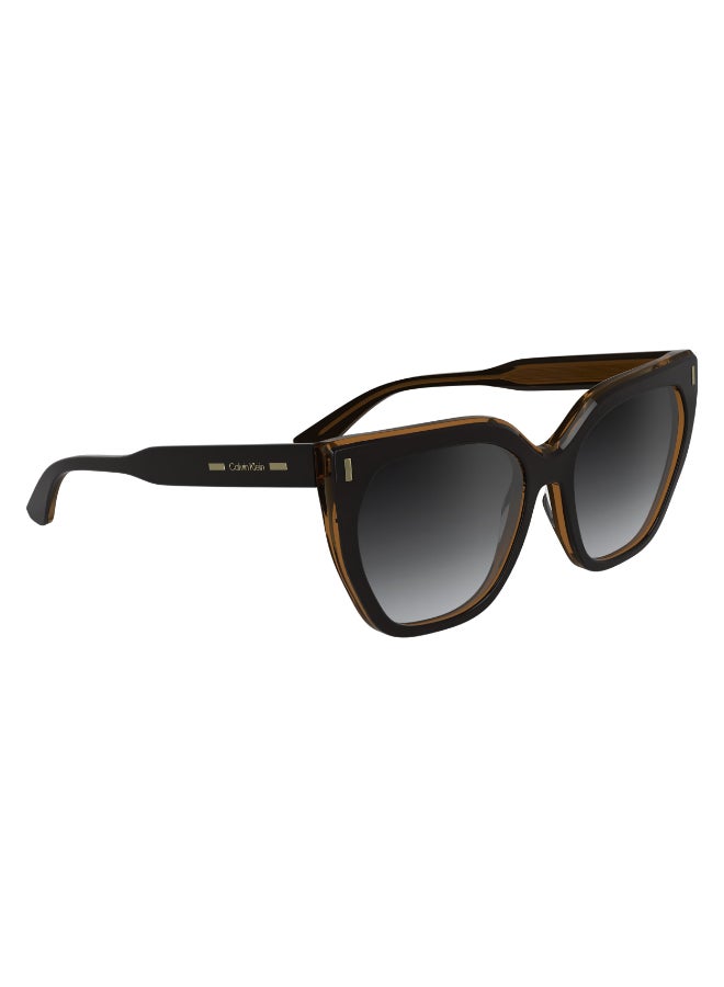 CALVIN KLEIN نظارات شمسية كاملة الإطار من أسيتات كالفن كلاين CK24535S N 5517 (002) أسود/رمادي غامق - Image 1