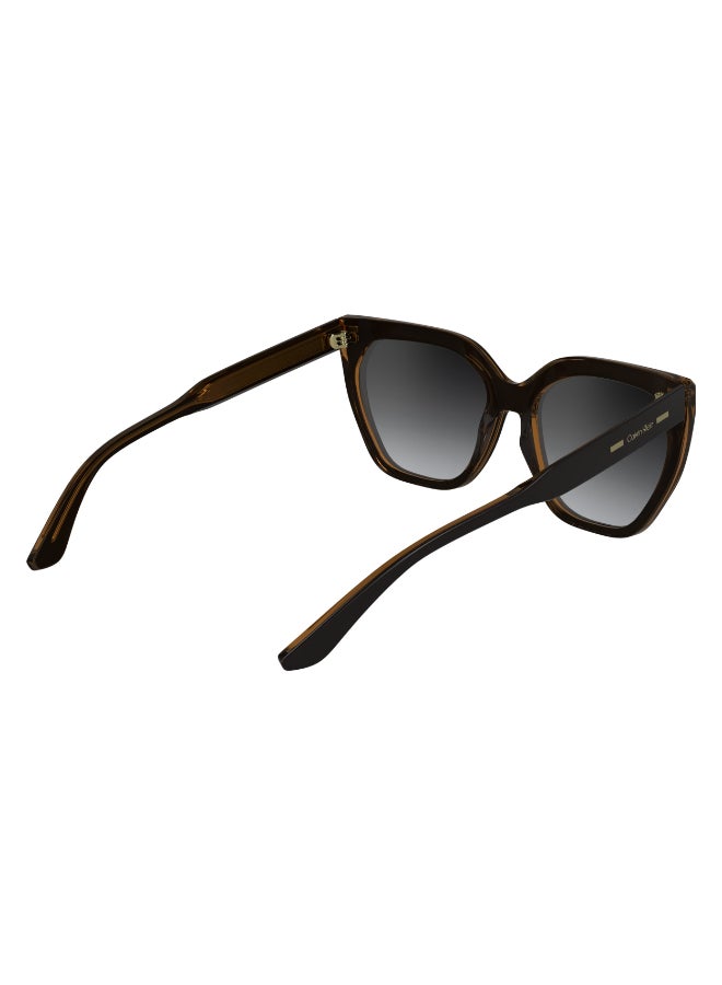 CALVIN KLEIN نظارات شمسية كاملة الإطار من أسيتات كالفن كلاين CK24535S N 5517 (002) أسود/رمادي غامق - Image 5