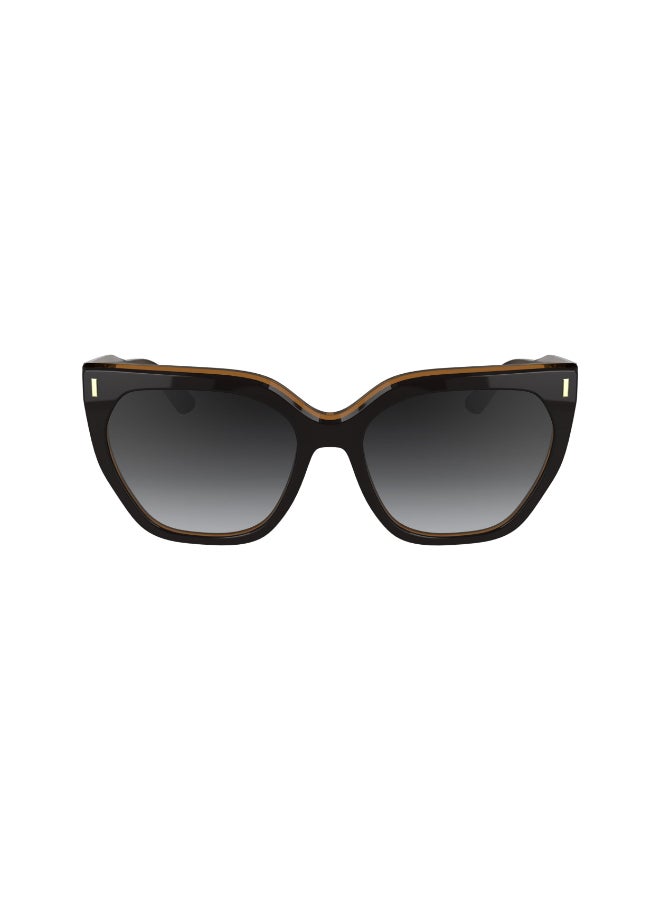 CALVIN KLEIN نظارات شمسية كاملة الإطار من أسيتات كالفن كلاين CK24535S N 5517 (002) أسود/رمادي غامق - Image 3