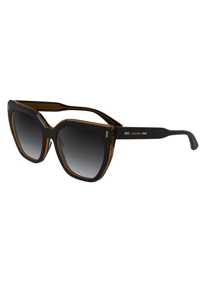 CALVIN KLEIN نظارات شمسية كاملة الإطار من أسيتات كالفن كلاين CK24535S N 5517 (002) أسود/رمادي غامق - Image 2