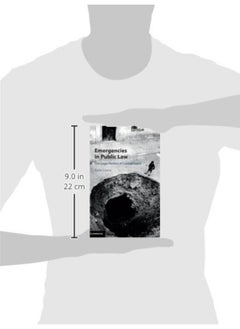Emergencies in Public Law: The Legal Politics of Containment  - Image 2