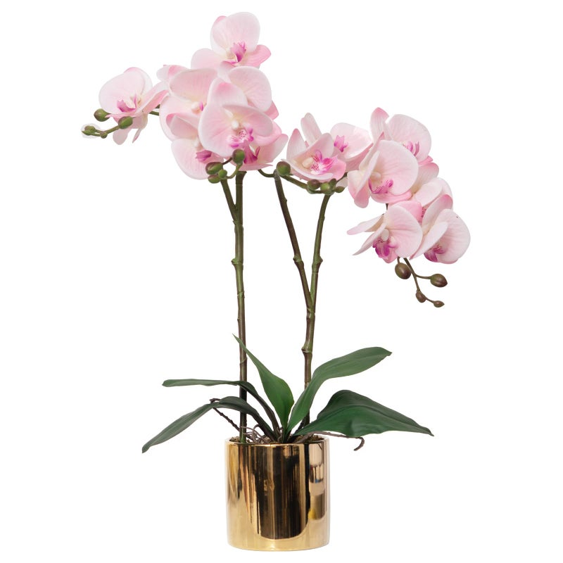 CXGS Artificial Orchid Flower Plant Real Touch Faux Orchids in Ceramic Vase Pink 19.7'' Fake Phalaenopsis Flower Arrangement Centerpiece Home Indoor Decor - Image 1