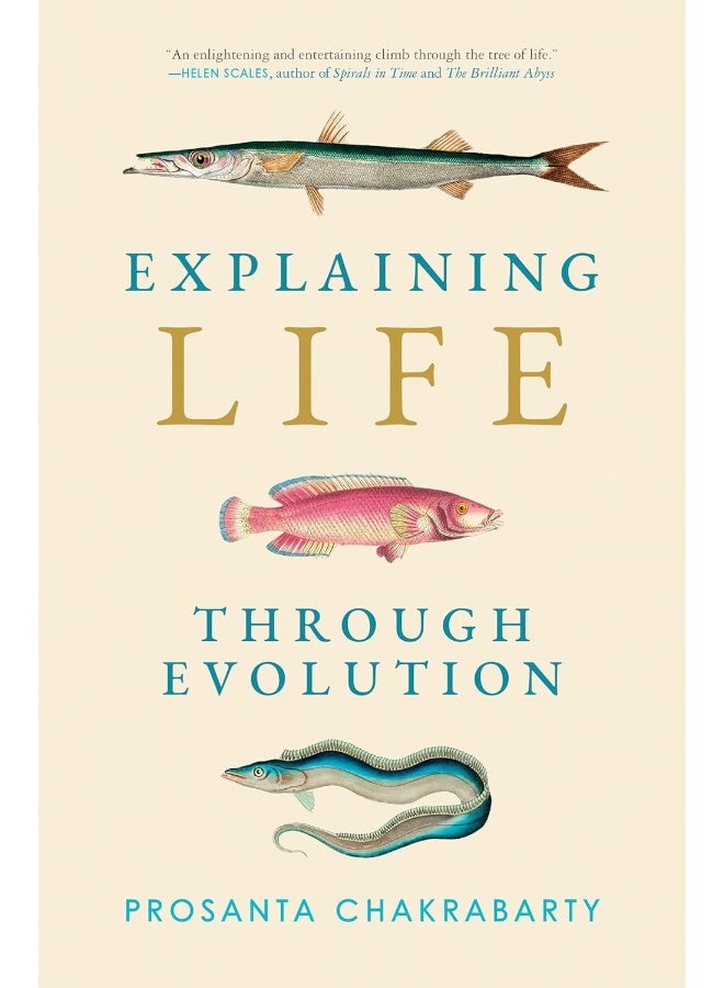 Explaining Life through Evolution