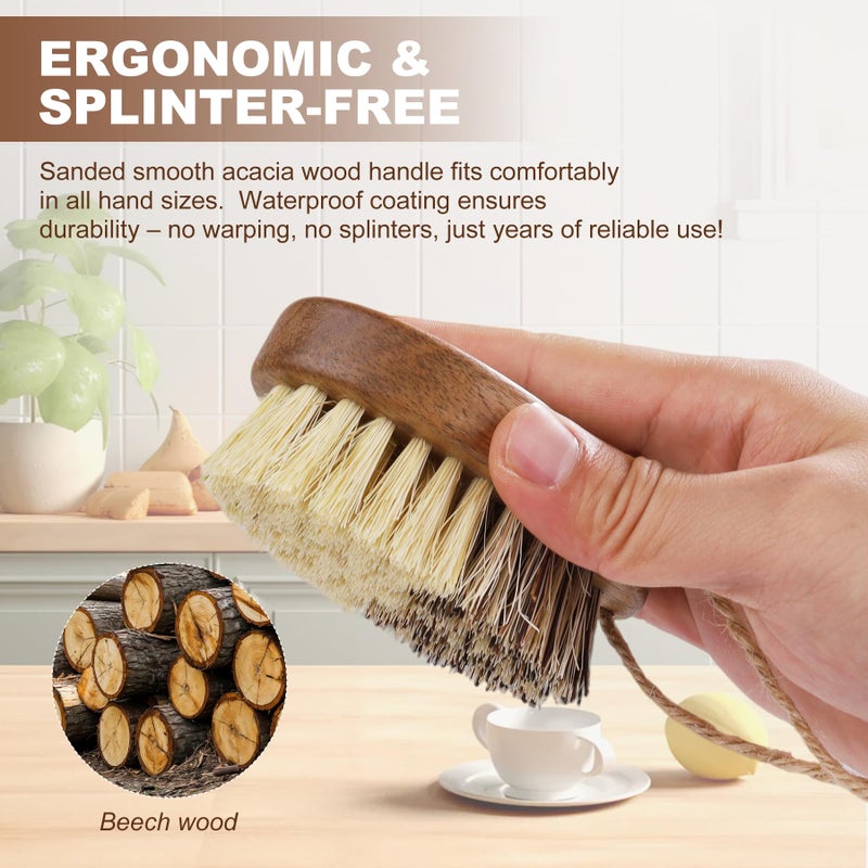DEBETOOL 2 Pack Wooden Vegetable Brush Scrubber for Food - Dual Bristle Potato Brush Scrubber with Hanging Rope | Natural Compostable Kitchen Vegetable Scrubber for Potatoes, Carrots, Fruits - Image 5
