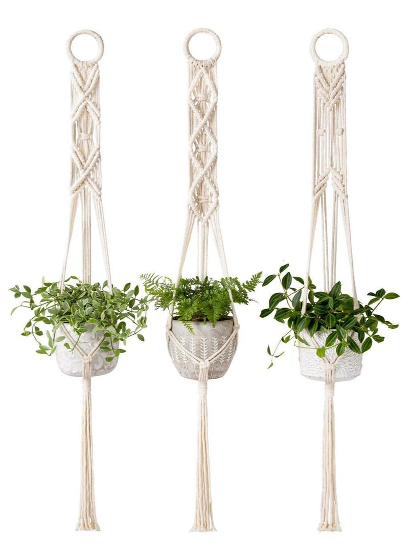 Antikiano plant hanging  - Image 1