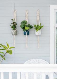 Antikiano plant hanging  - Image 2