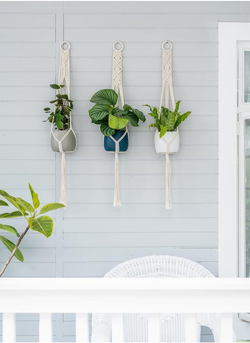 Antikiano plant hanging  - Image 2