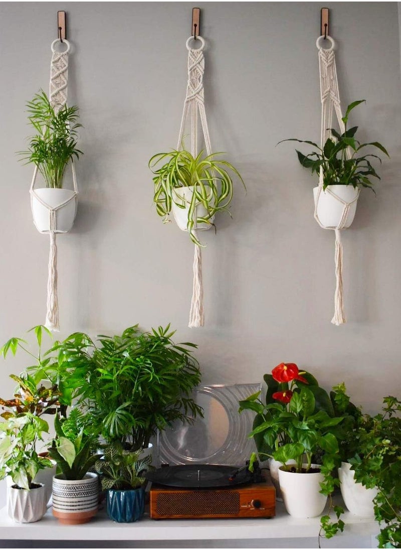 Antikiano plant hanging  - Image 4