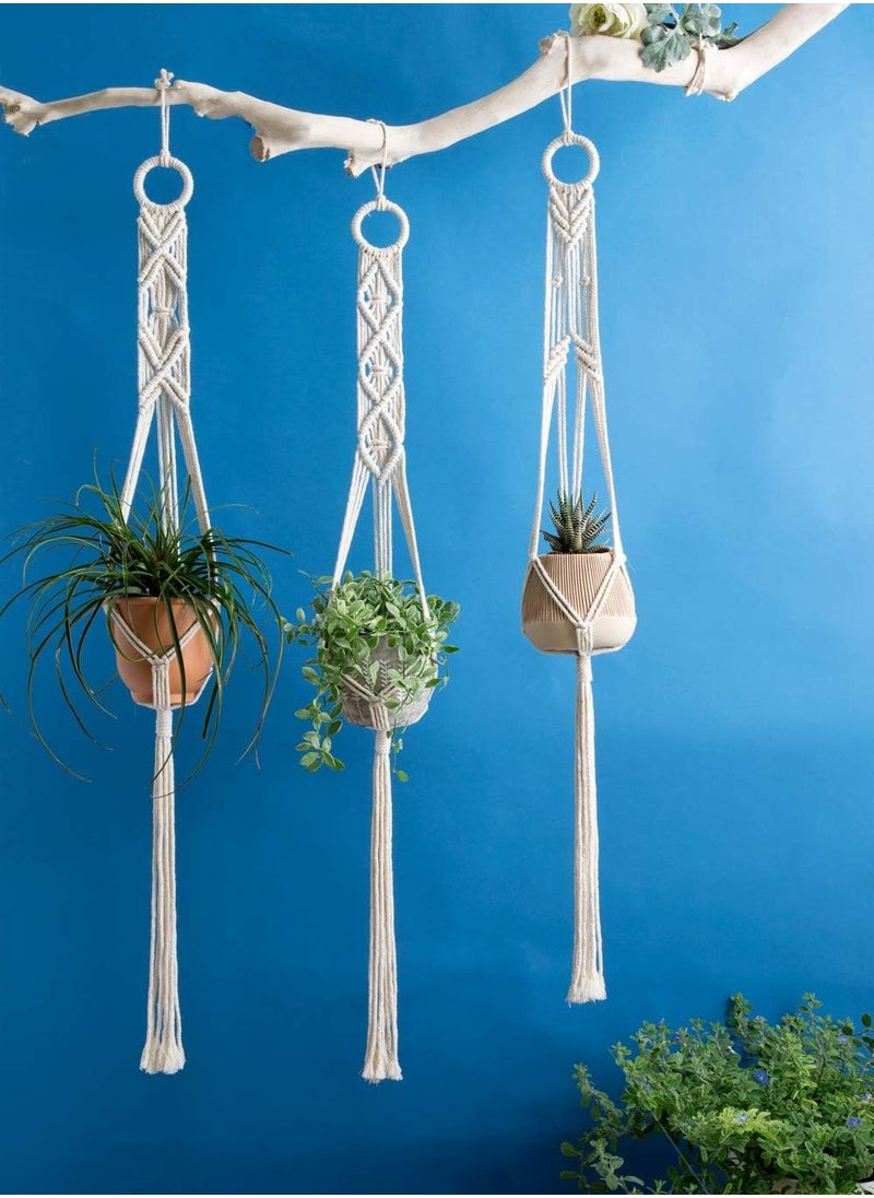 Antikiano plant hanging  - Image 3
