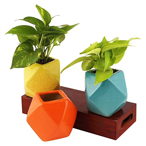 Leafy Tales Polygon Shape Ceramic Pot, Orange, 1 pc (Polygon Orange) - Image 1