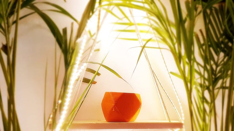 Leafy Tales Polygon Shape Ceramic Pot, Orange, 1 pc (Polygon Orange) - Image 2