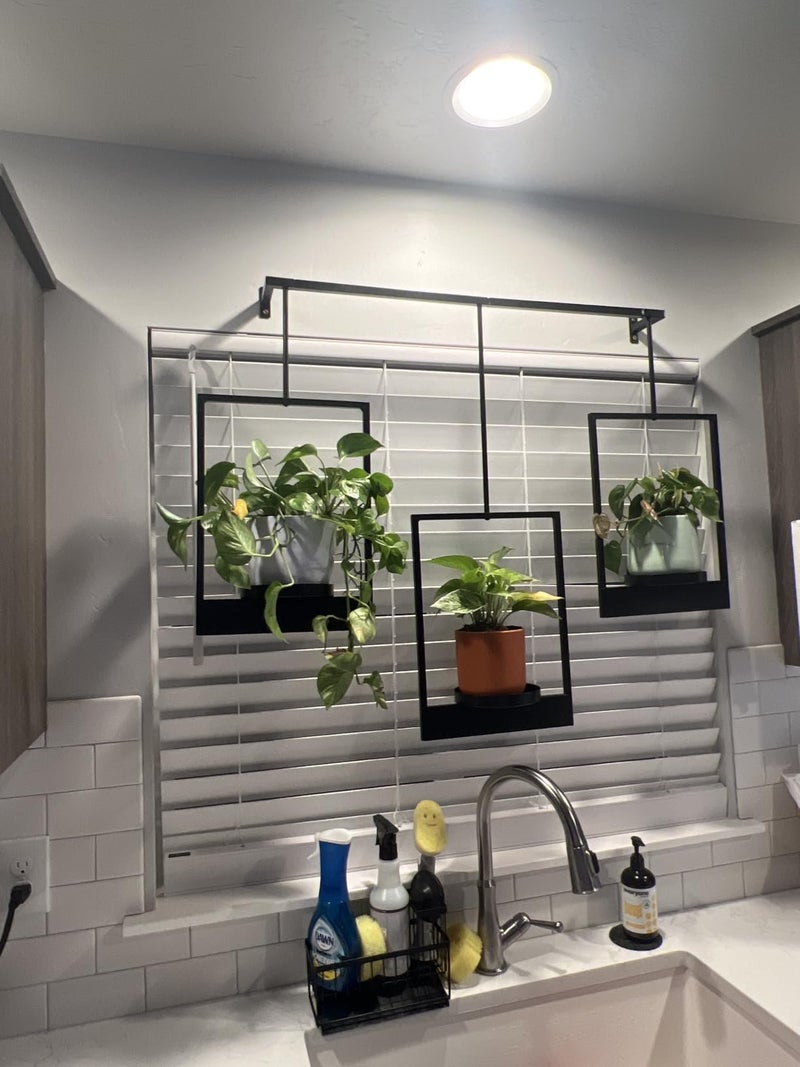 DEMEGA Wall Planters for Indoor Plants Wall Plant Holder Frame Plant Wall Hanger Window Plant Hanger for Livingroom Entryway (1) - Image 4