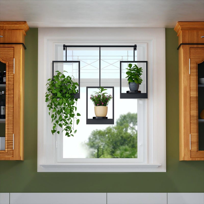 DEMEGA Wall Planters for Indoor Plants Wall Plant Holder Frame Plant Wall Hanger Window Plant Hanger for Livingroom Entryway (1) - Image 2