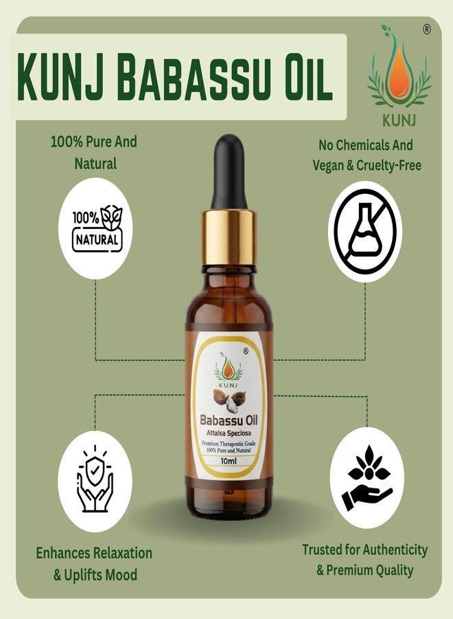 KUNJ Babassu Oil 10ml – 100% Pure & Natural Cold Pressed Undiluted Carrier Oil for Hair, Skin, Face & Body Care | Lightweight Non-Greasy Moisturizing Oil | Fast Absorbing - Image 4