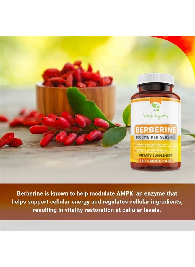 Simple-Organics Berberine 500mg (1000mg Per Serving) - 120 Veggie Caps- Supports Healthy Immune Function  - Image 3