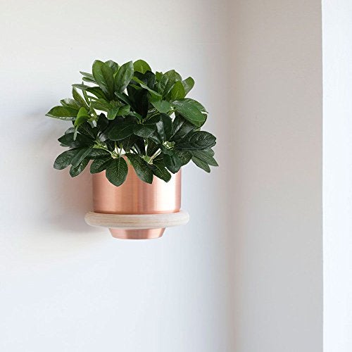 GTIDEA Artificial Shrubs Plants Fake Silk Schefflera Bushes Real Touch Faux Greenery Leaf Arrangements Indoor Outdoor Garden Office Home Table Centerpieces Wall Hanging Décor 2pcs - Image 2